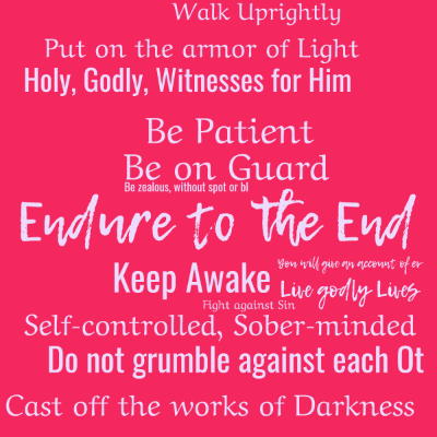 Word cloud with 14 words like Endure to the End, Be on Guard and Keep Awake.