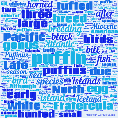 Word cloud with 50 words like puffin, puffins and Atlantic.