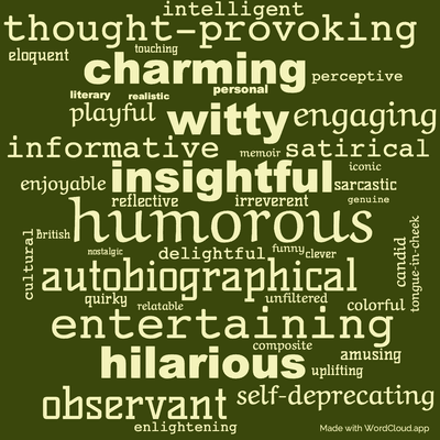 Word cloud of the book Mrs Fry's Diary with 44 words like humorous, insightful and autobiographical.