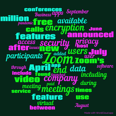 Word cloud with 50 words like Zoom, security and end.
