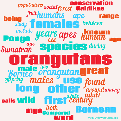 Word cloud with 50 words like orangutans, orangutan and species.