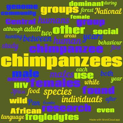 Word cloud with 50 words like chimpanzees, chimpanzee and males.