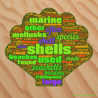 Word cloud with 50 words like shells, shell and used.