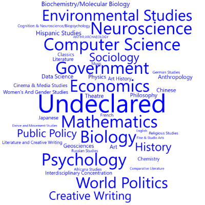 Word cloud with 45 words like Undeclared, Economics and Mathematics.