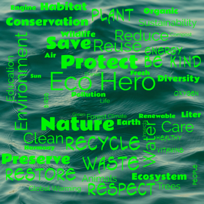 Word cloud with 50 words like Eco Hero, Nature and Protect.