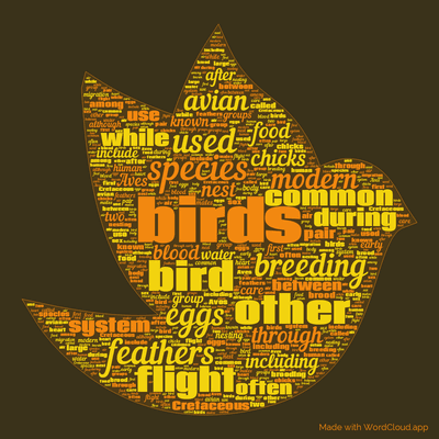 Word cloud with 50 words like birds, species and bird.