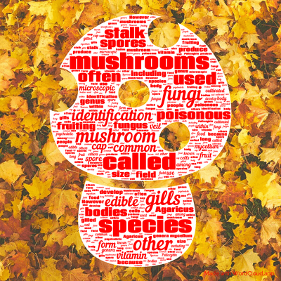 Word cloud with 50 words like mushrooms, mushroom and species.