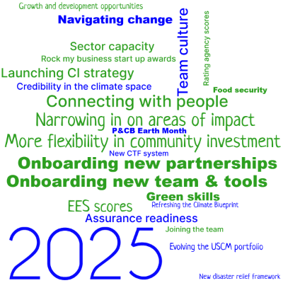 Word cloud with 23 words like Navigating change, Sector capacity and Narrowing in on areas of impac.