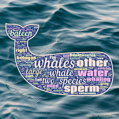 Word cloud with 50 words like whales, whale and species.
