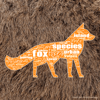 Word cloud with 50 words like fox, foxes and species.
