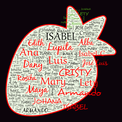 Word cloud in an Apple shape with 31 words like ANA, JOHANA and CRISTY.