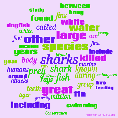 Word cloud with 50 words like sharks, shark and species.