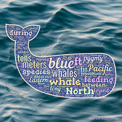 Word cloud with 50 words like blue, whales and whale.