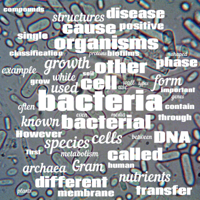 Word cloud with 50 words like bacteria, bacterial and cell.