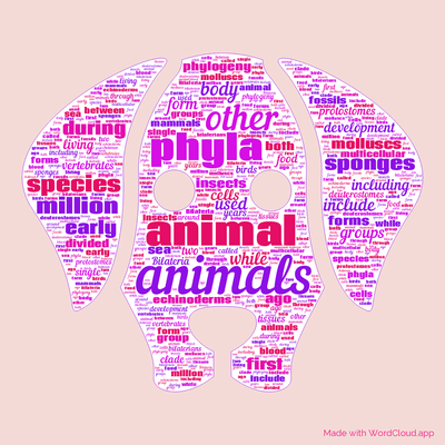 Word cloud with 50 words like animals, animal and other.