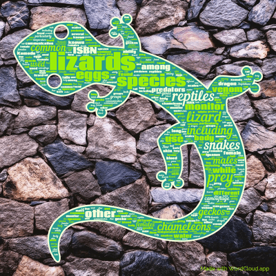 Word cloud with 50 words like lizards, species and lizard.