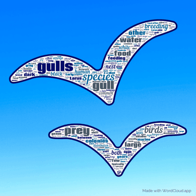 Word cloud with 50 words like gulls, species and gull.