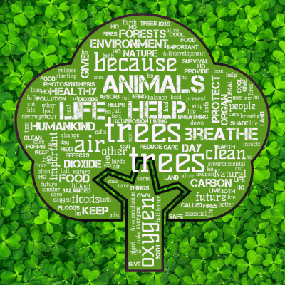 Word cloud in a Tree shape with 100 words like trees, help and air.