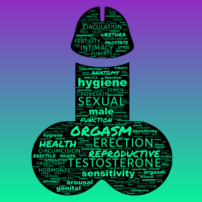Word cloud with 25 words like anatomy, reproductive and male.