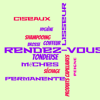 Word cloud with 13 words like Rendez-vous, Tondeuse and Produits capillaires.