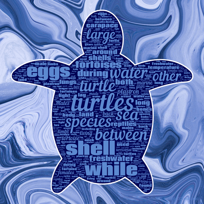Word cloud with 50 words like turtles, turtle and species.