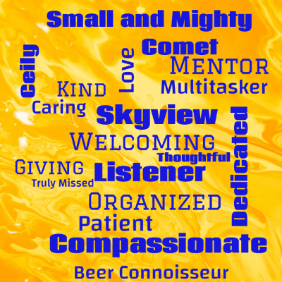 Word cloud with 19 words like Ceily, Dedicated and Skyview.