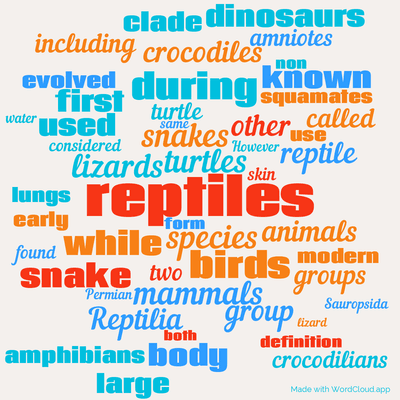 Word cloud with 50 words like reptiles, turtles and snakes.