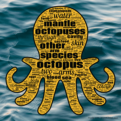 Word cloud with 50 words like octopus, octopuses and species.