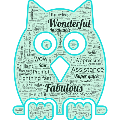 Word cloud in an Owl shape with 38 words like Wonderful, Assistance and Helpful.