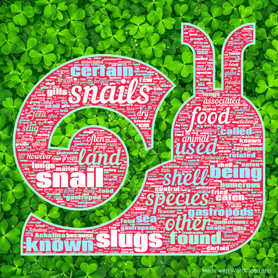 Word cloud with 50 words like snails, snail and land.