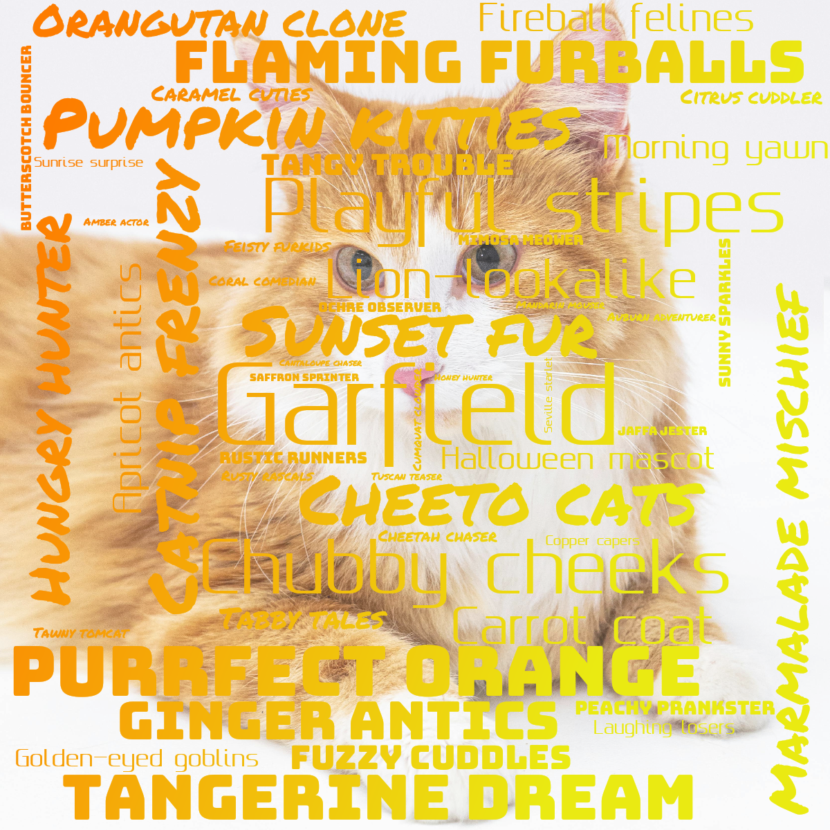 Word cloud with 50 words like Garfield, Sunset fur and Cheeto cats in bright orange and yellow.