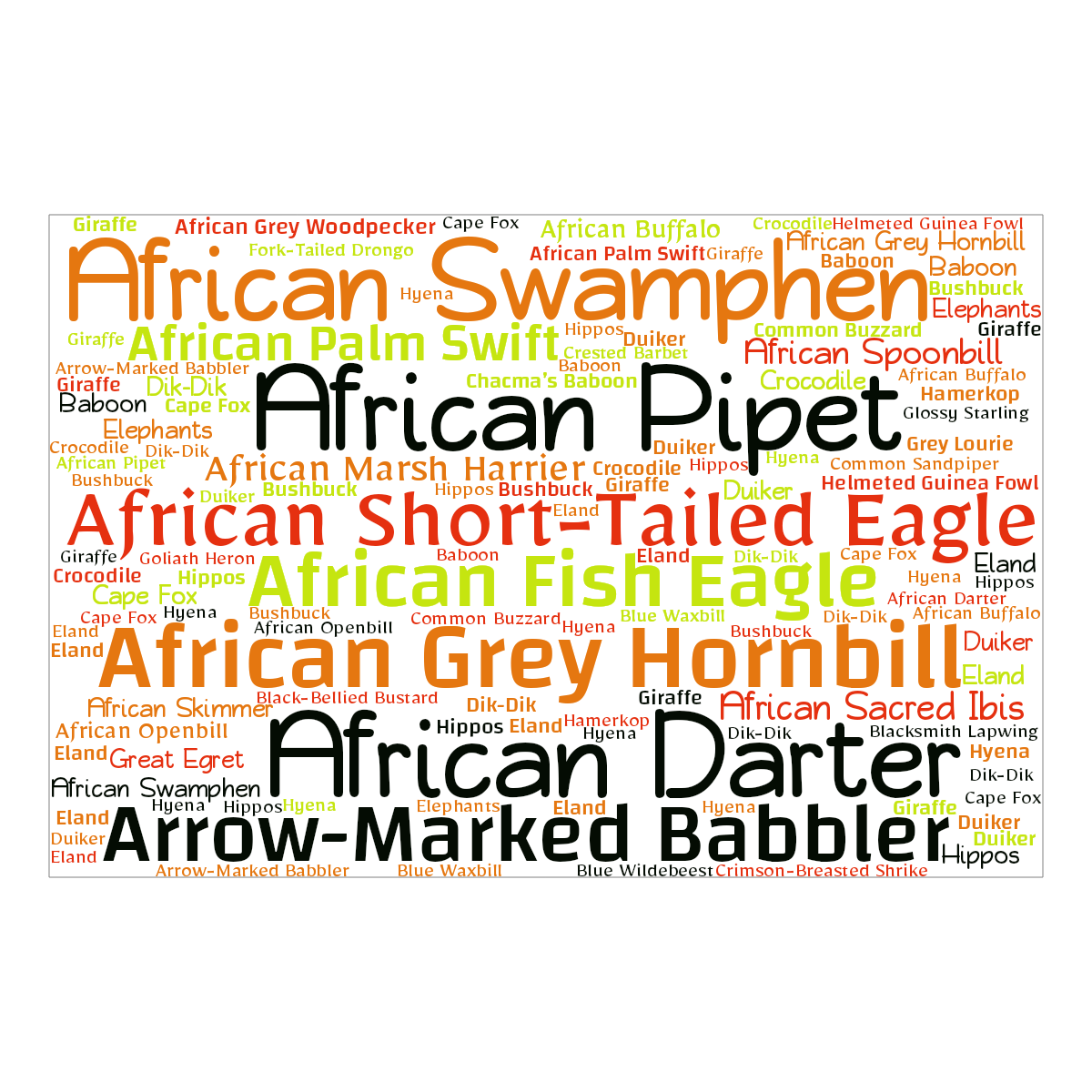 Word cloud in a Horizontal Rectangle shape with 56 words like African Short-Tailed Eagle , African Grey Hornbill and African Pipet in multicolor.