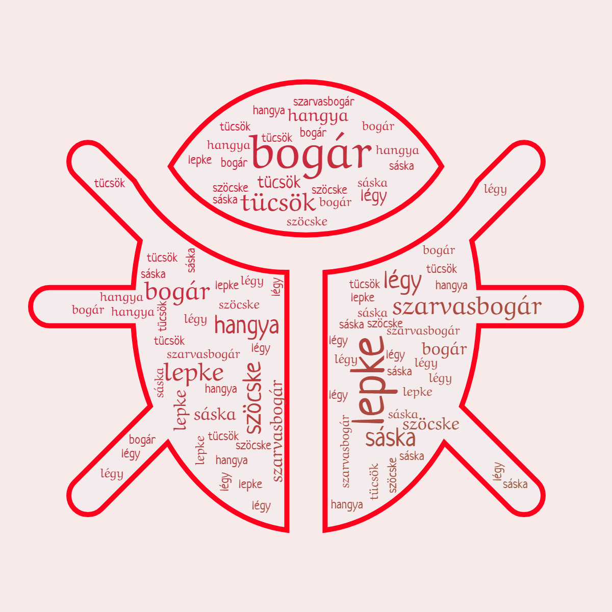 Word cloud in a Bug shape with 8 words like bogár, lepke and szarvasbogár in red and orange.