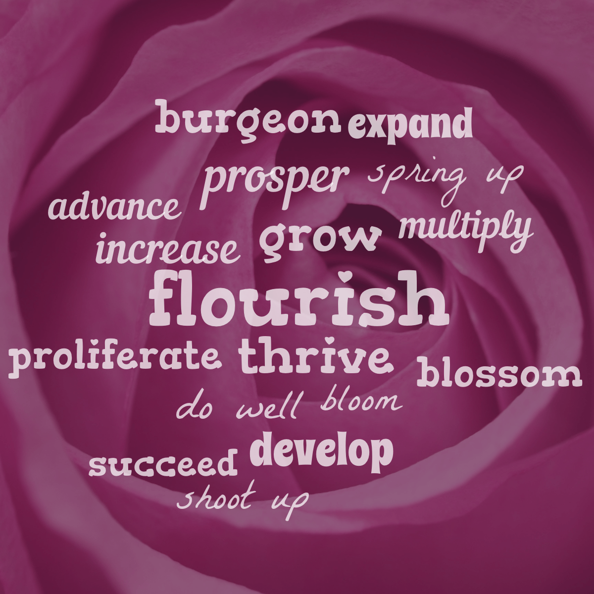 Word cloud with 17 words like flourish, grow and thrive in white.