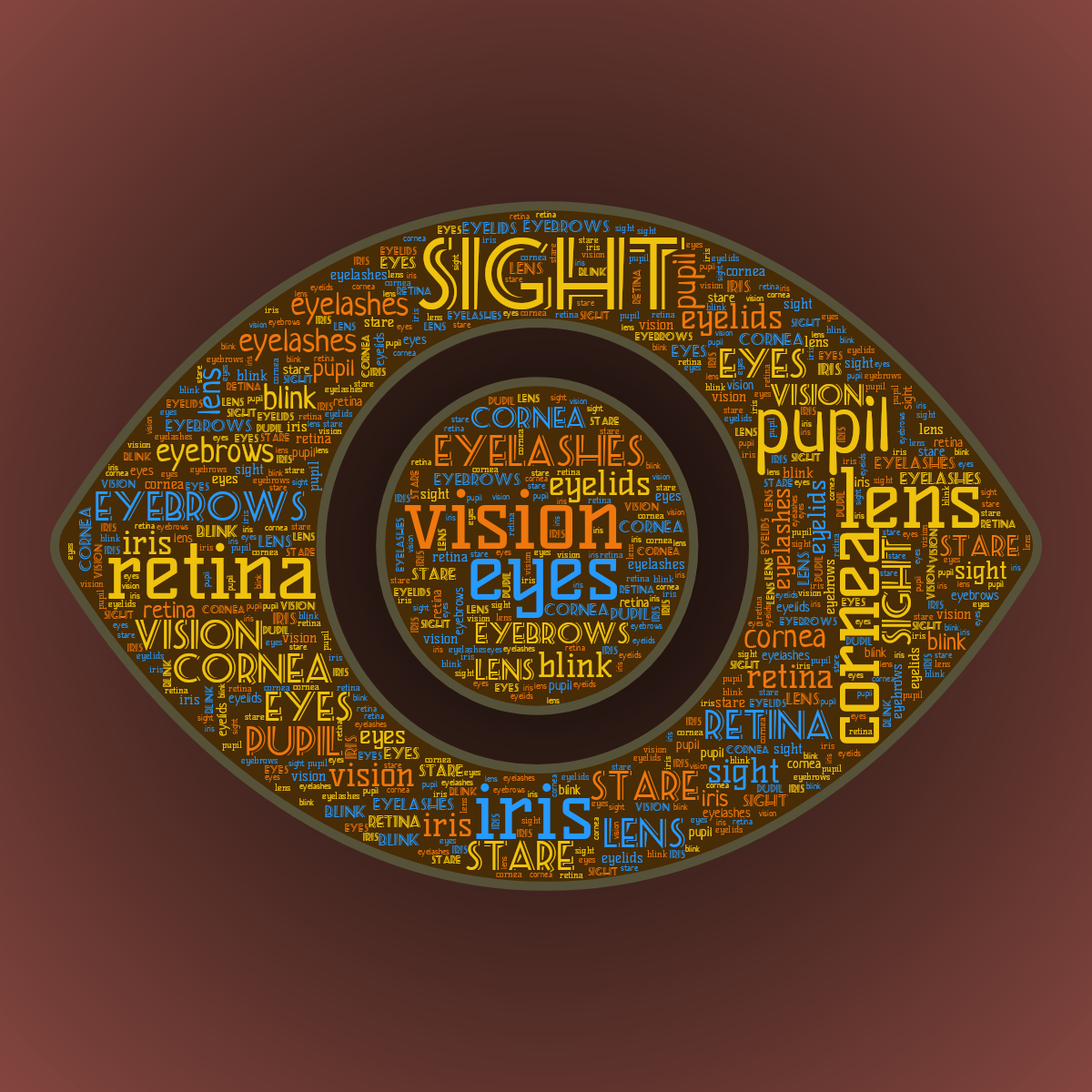 Word cloud in an Eye shape with 13 words like vision, sight and eyes in multicolor.