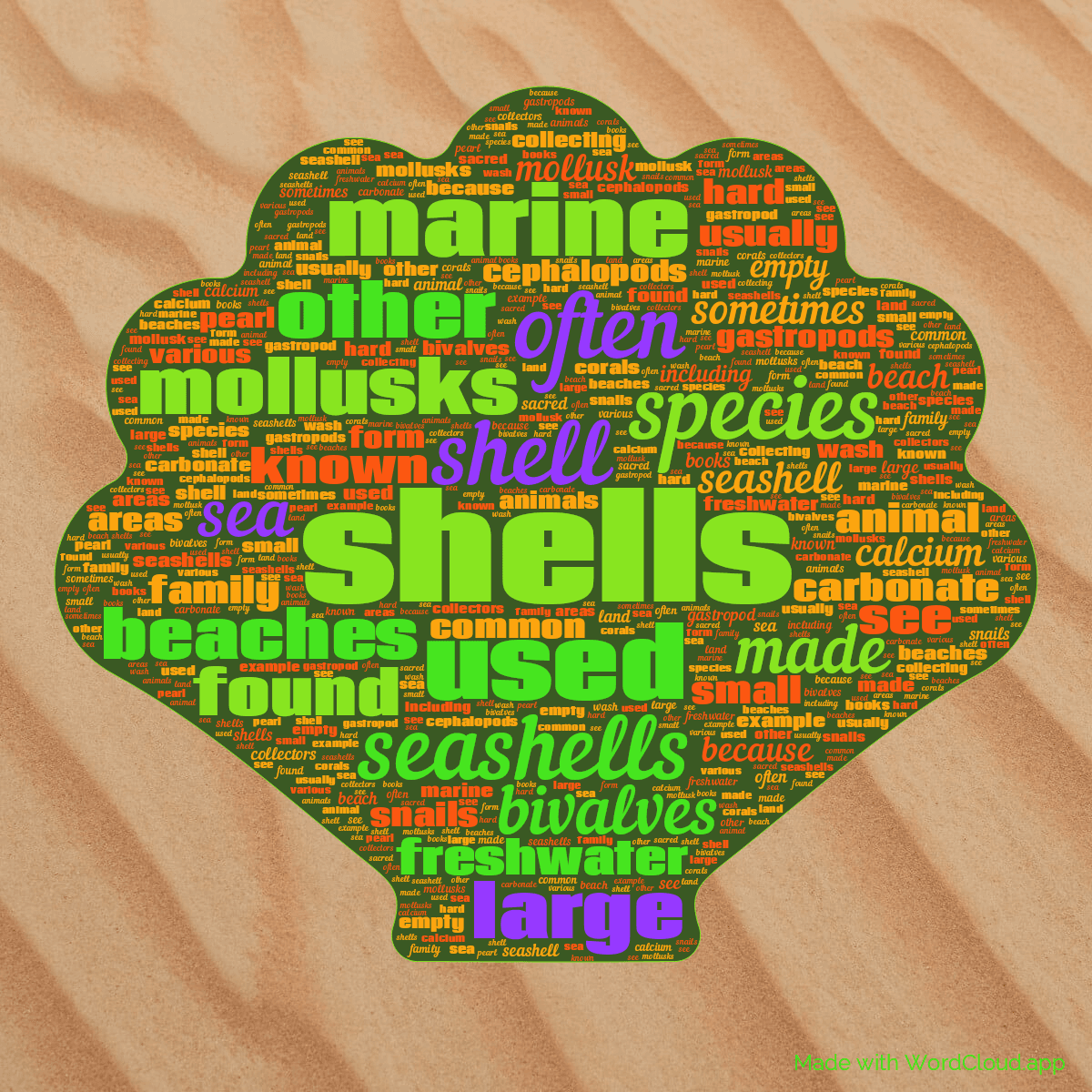 Word cloud in a Seashell shape with 50 words like shells, shell and used in yellow and blue.