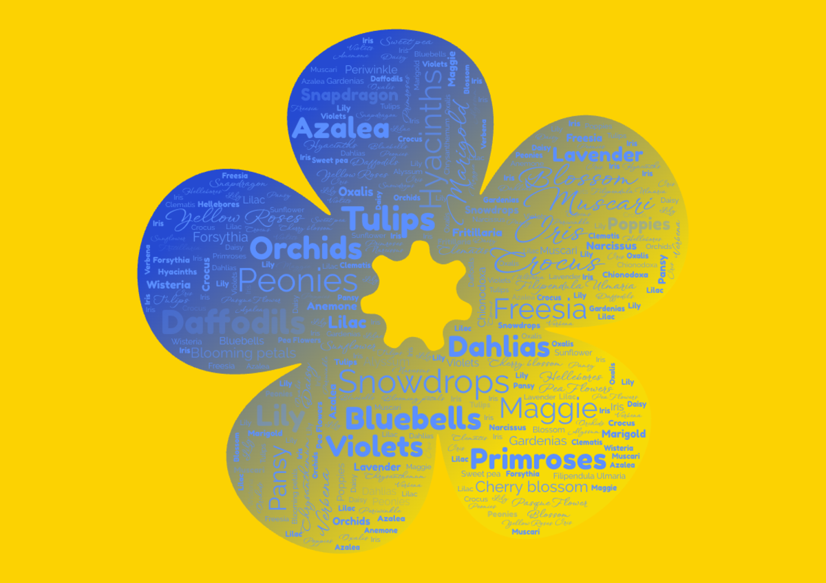 Word cloud in a Flower shape with 47 words like Daffodils, Tulips and Snowdrops in blue and yellow.
