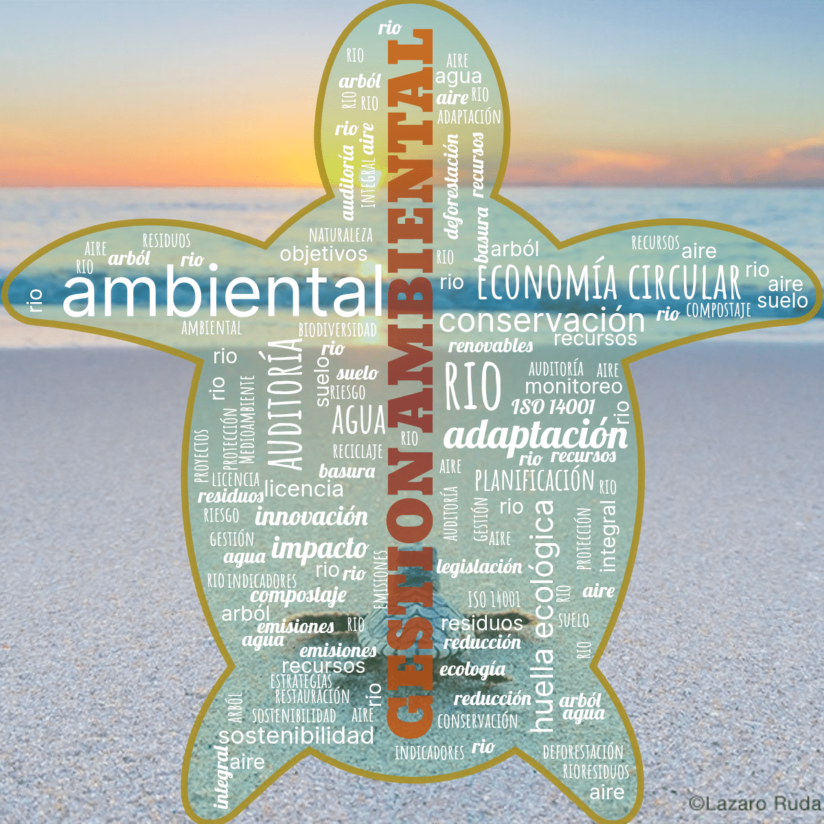 Word cloud in a Turtle shape with 51 words like ambiental, ISO 14001 and adaptación in white, green and yellow.