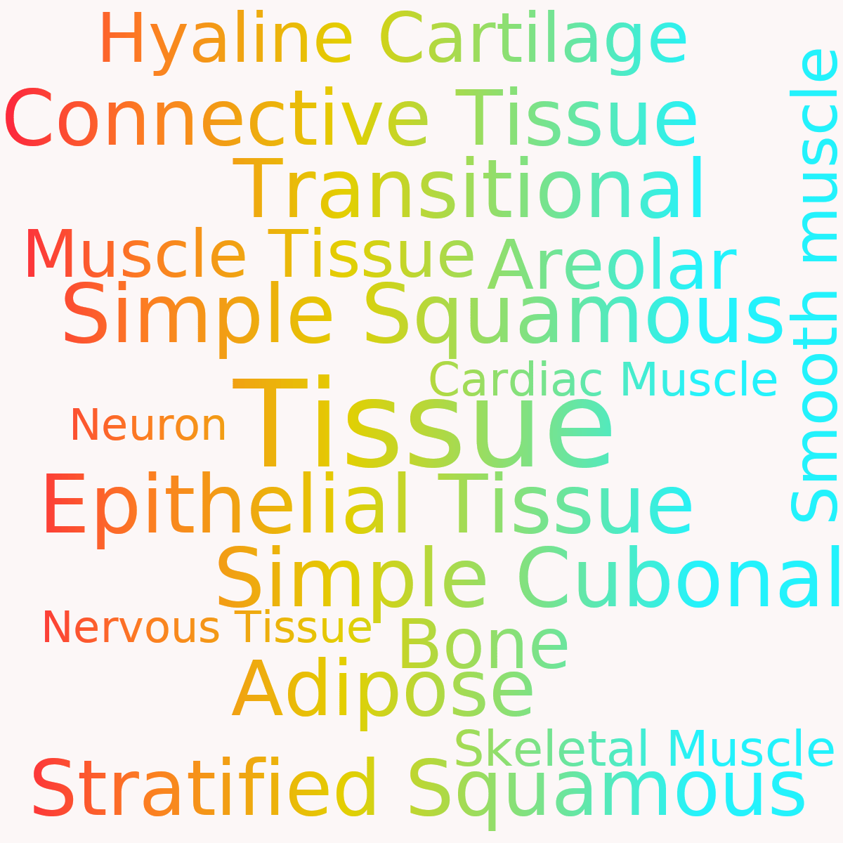 Word cloud with 17 words like Tissue, Epithelial Tissue and Simple Squamous in multicolor.