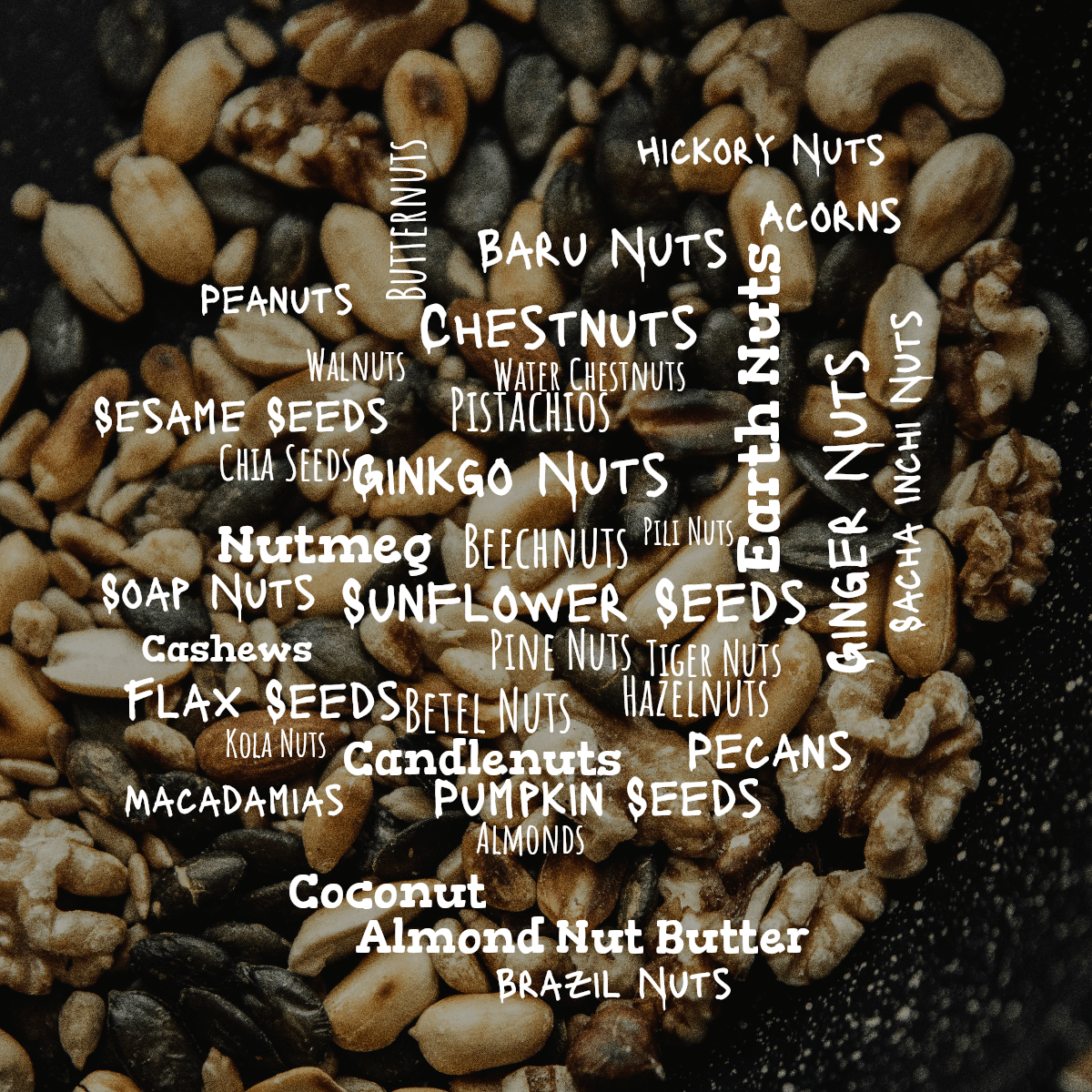 Word cloud with 35 words like Almonds, Brazil Nuts and Cashews in white.