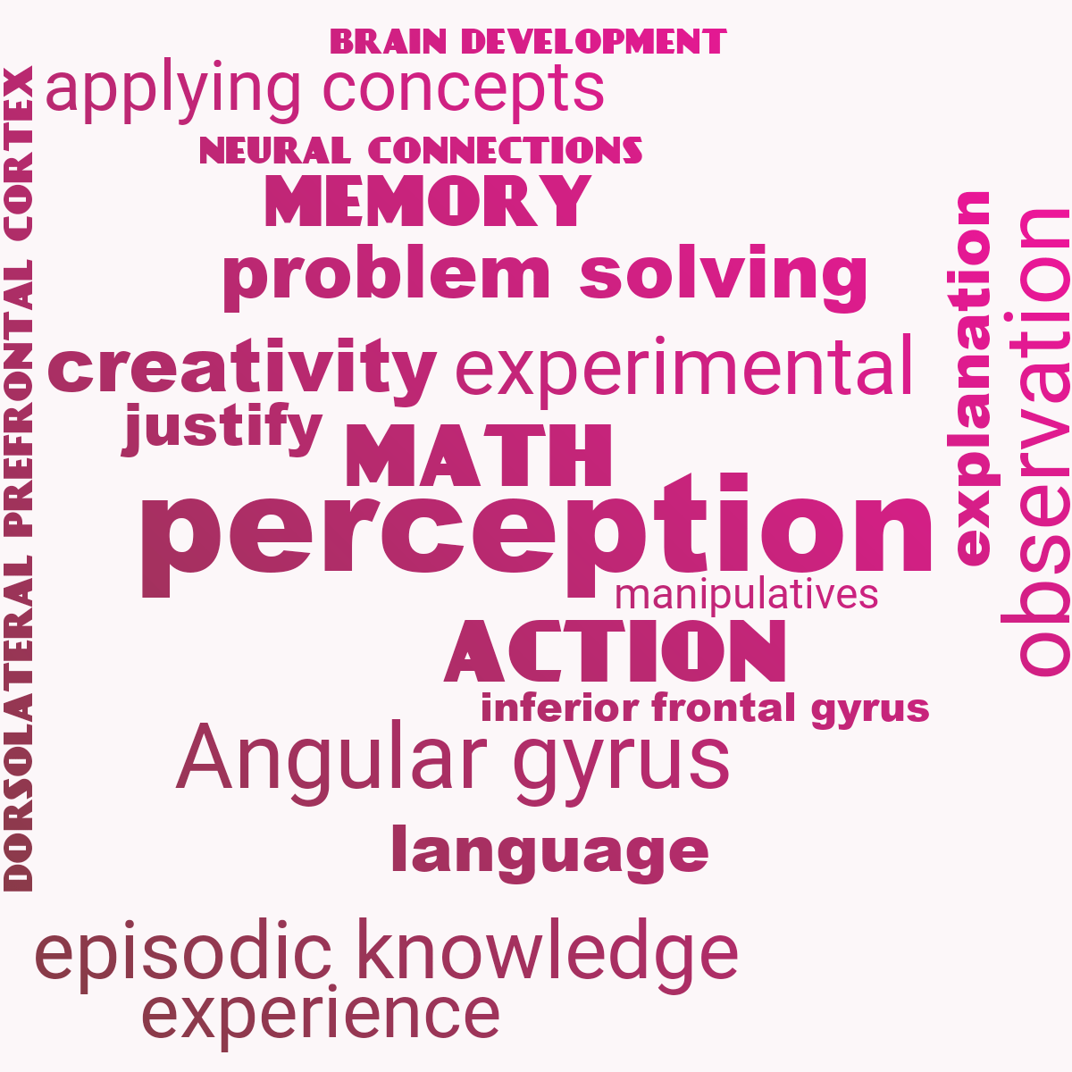 Word cloud with 20 words like perception, math and action in pink and red.