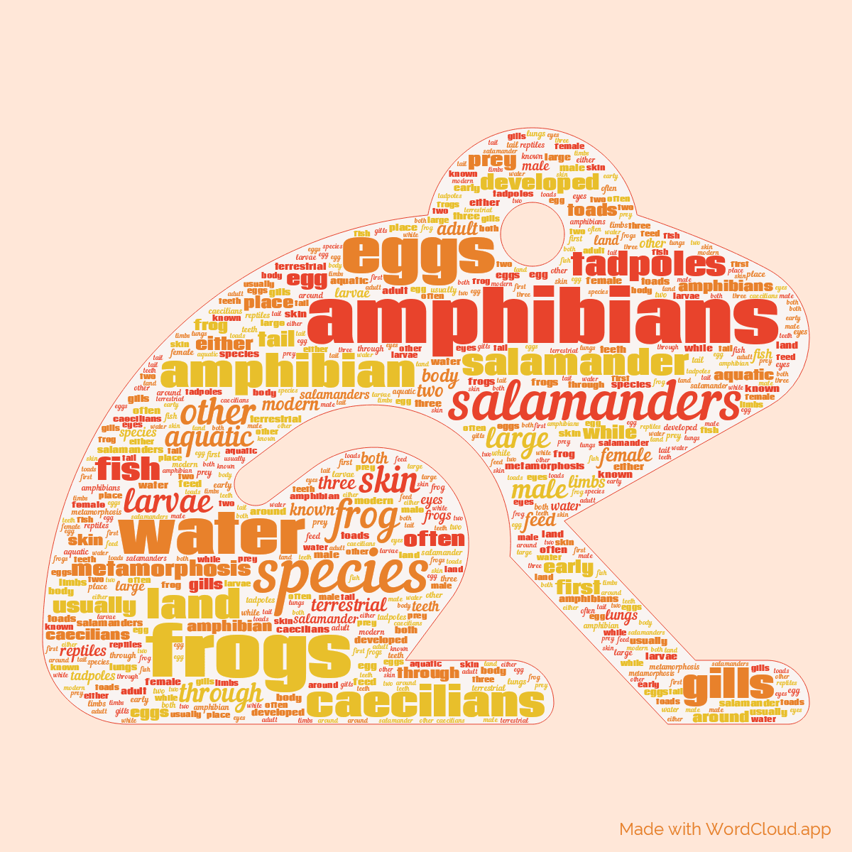 Word cloud in a Frog shape with 50 words like amphibians, species and frogs in red, orange and yellow.