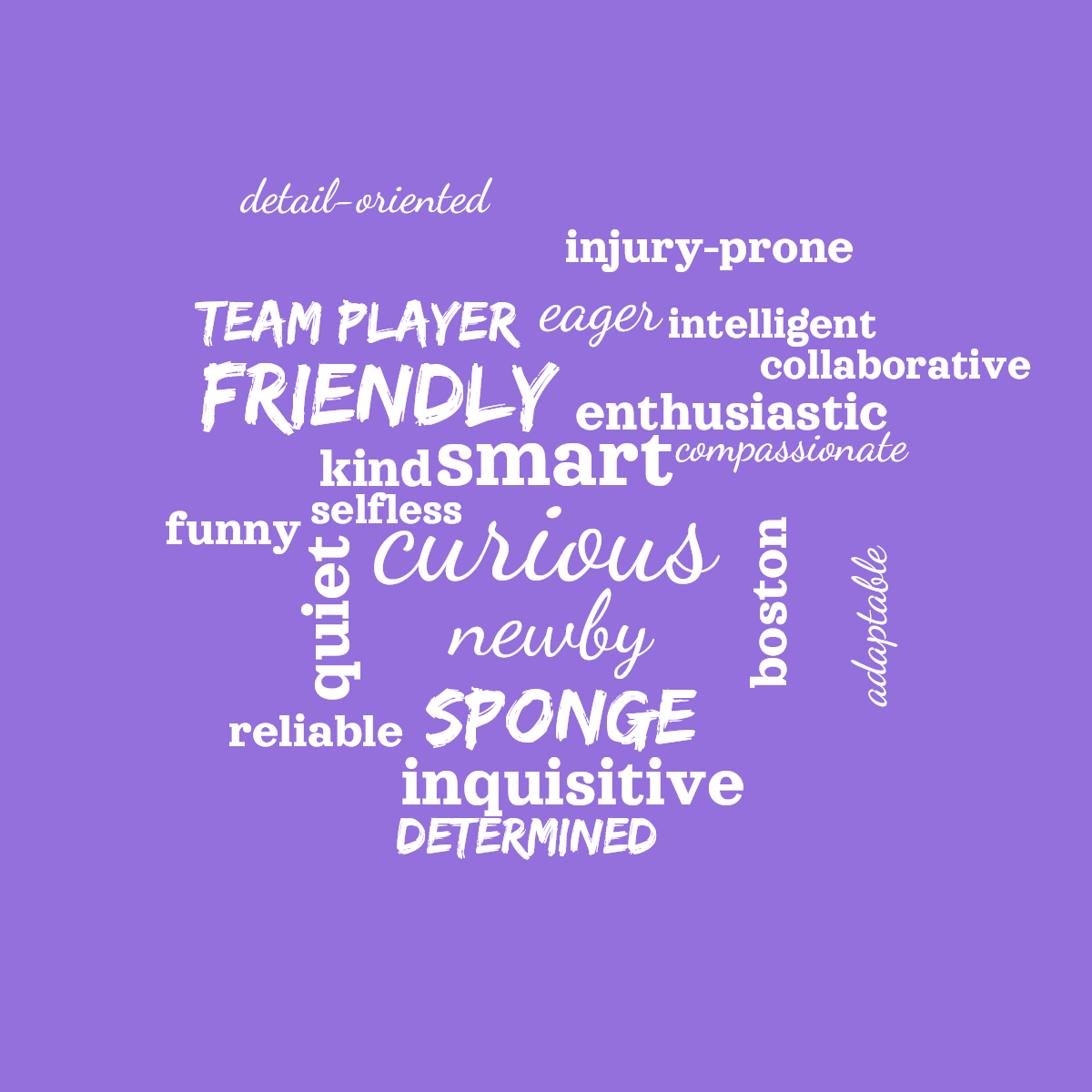 Word cloud with 22 words like curious, newby and smart in white and purple.