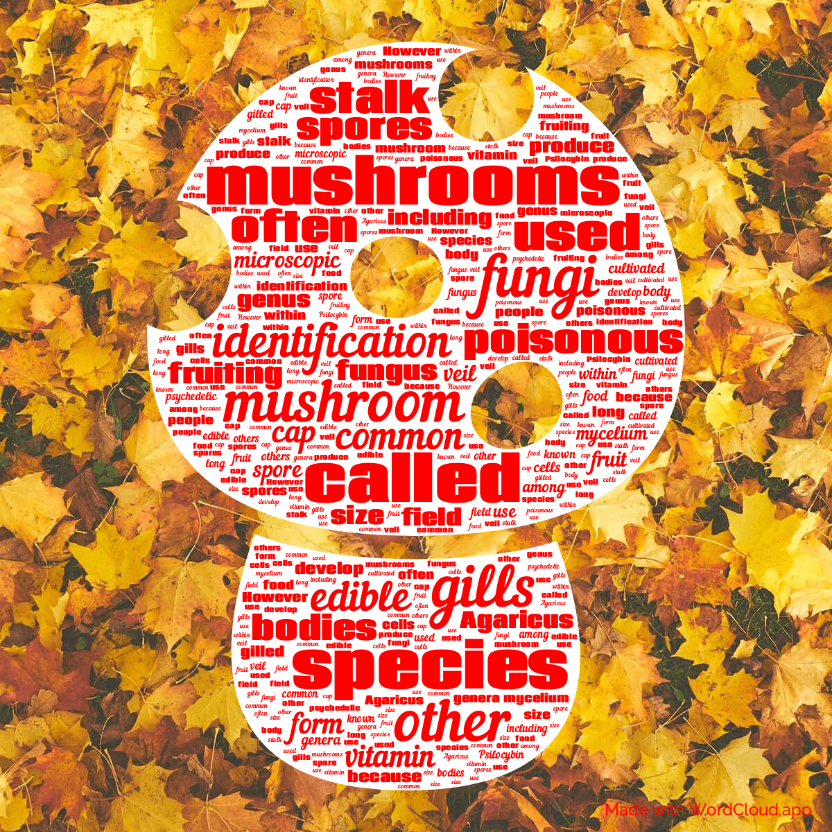 Word cloud in a Mushroom shape with 50 words like mushrooms, mushroom and species in red and white.