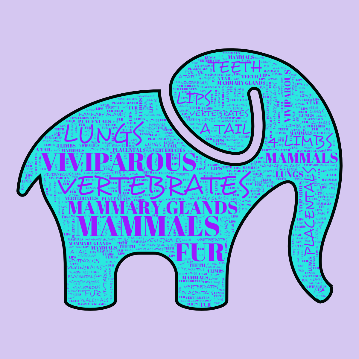 Word cloud in an Elephant shape with 11 words like MAMMALS, VERTEBRATES and VIVIPAROUS in purple, blue and black.
