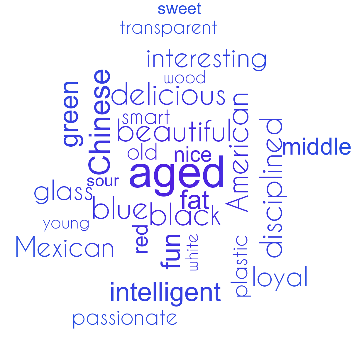 Word cloud with 29 words like aged, American and beautiful in blue and white.
