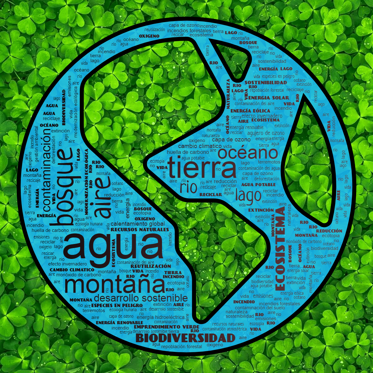 Word cloud in a Globe Americas shape with 51 words like agua, aire and tierra in black, red and blue.