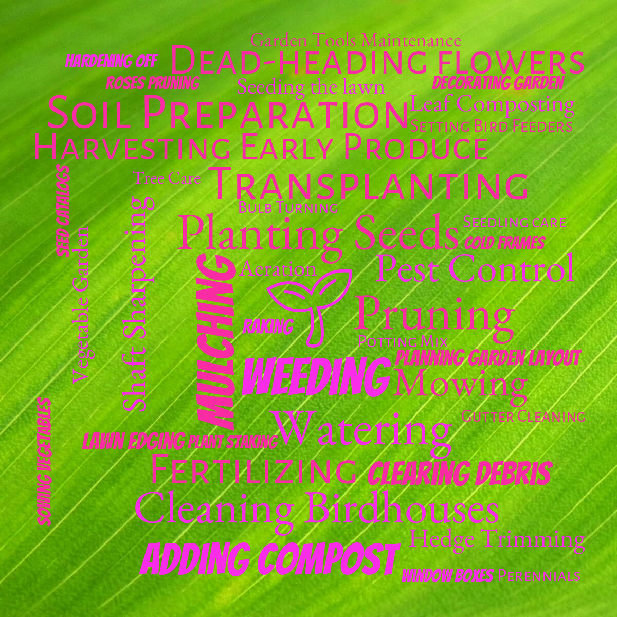 Word cloud with 51 words like 🌱, Planting Seeds and Weeding in bright purple and pink.