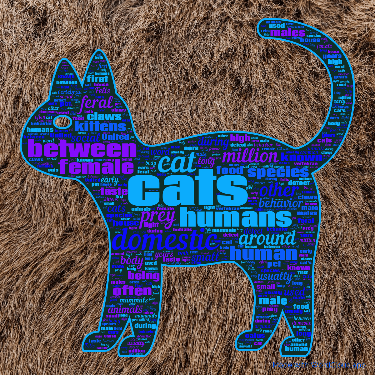 Word cloud in a Cat shape with 50 words like cats, cat and domestic in blue, purple and green.