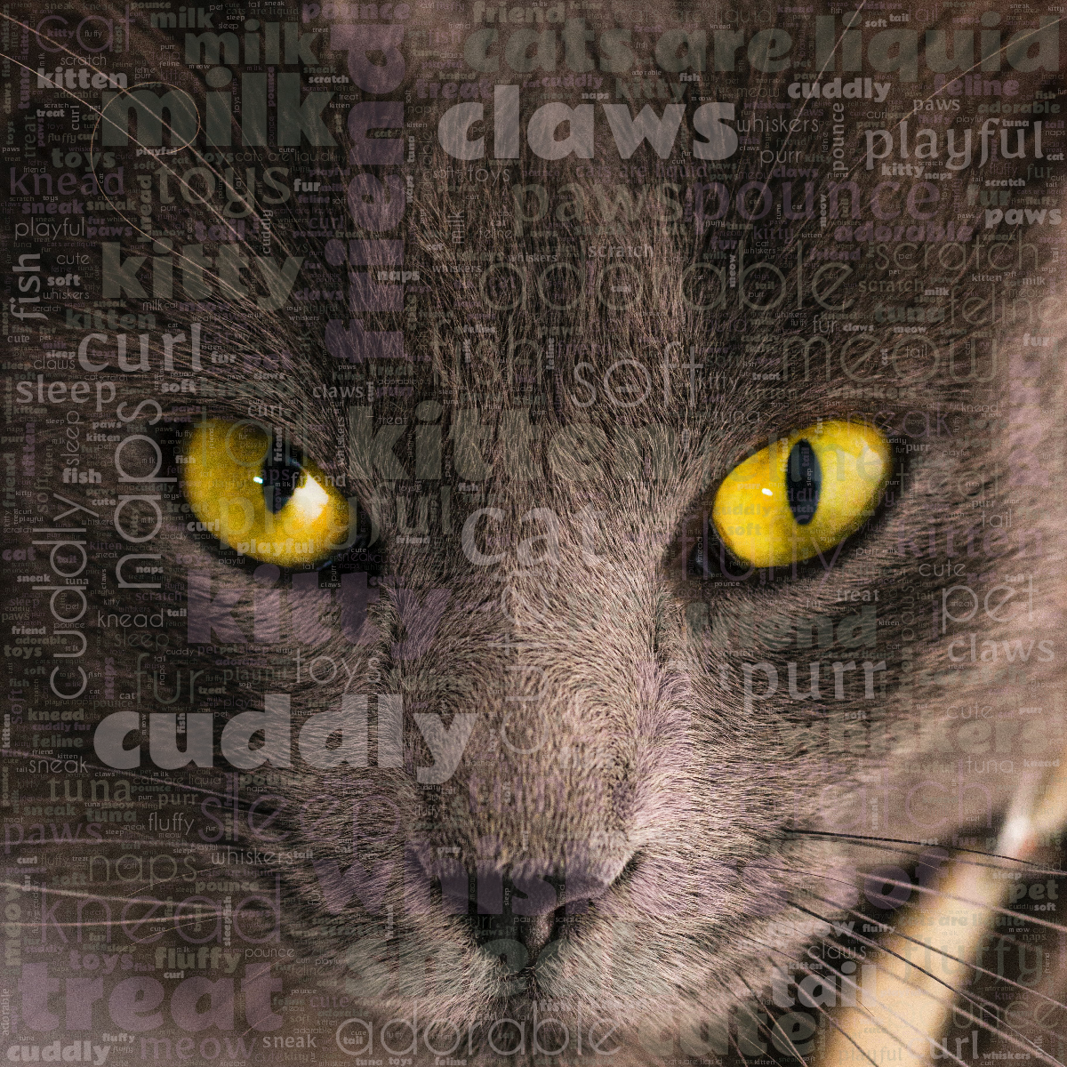 Word cloud with 32 words like cat, kitten and cute in multicolor.